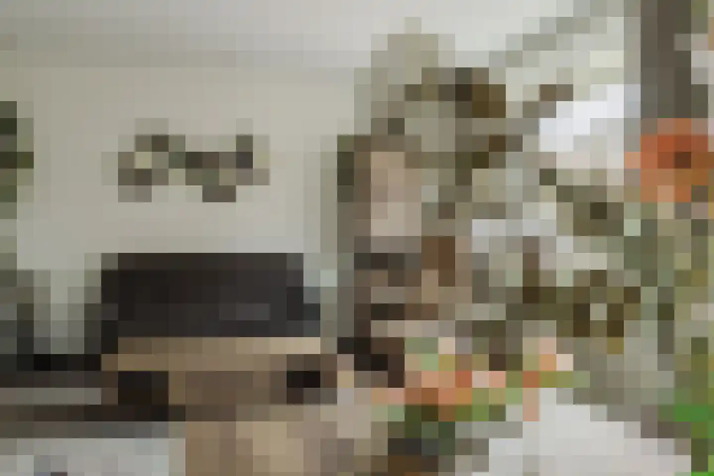 Heerdgang 24 Zundert thumbnail 10