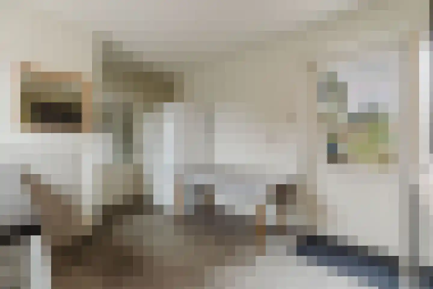 Heerdgang 24 Zundert thumbnail 27