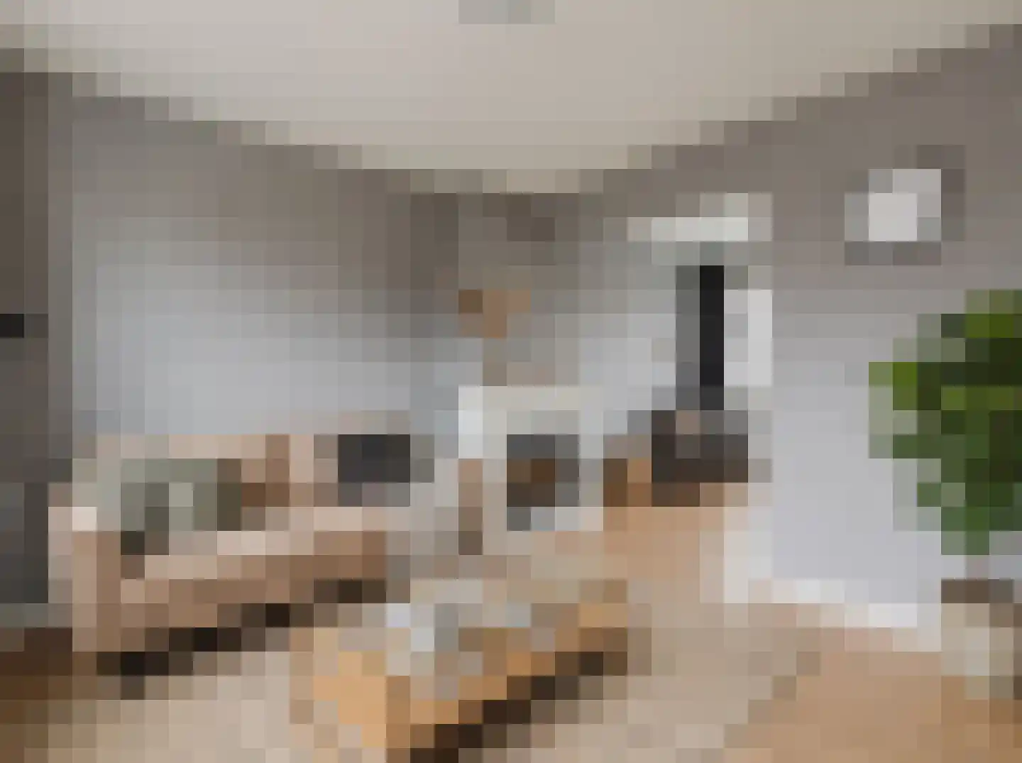 Heerdgang 24 Zundert thumbnail 35