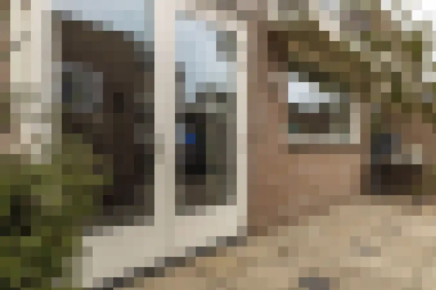 Heerdgang 24 Zundert thumbnail 45