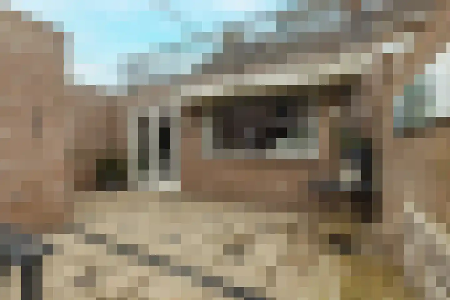 Heerdgang 24 Zundert thumbnail 47