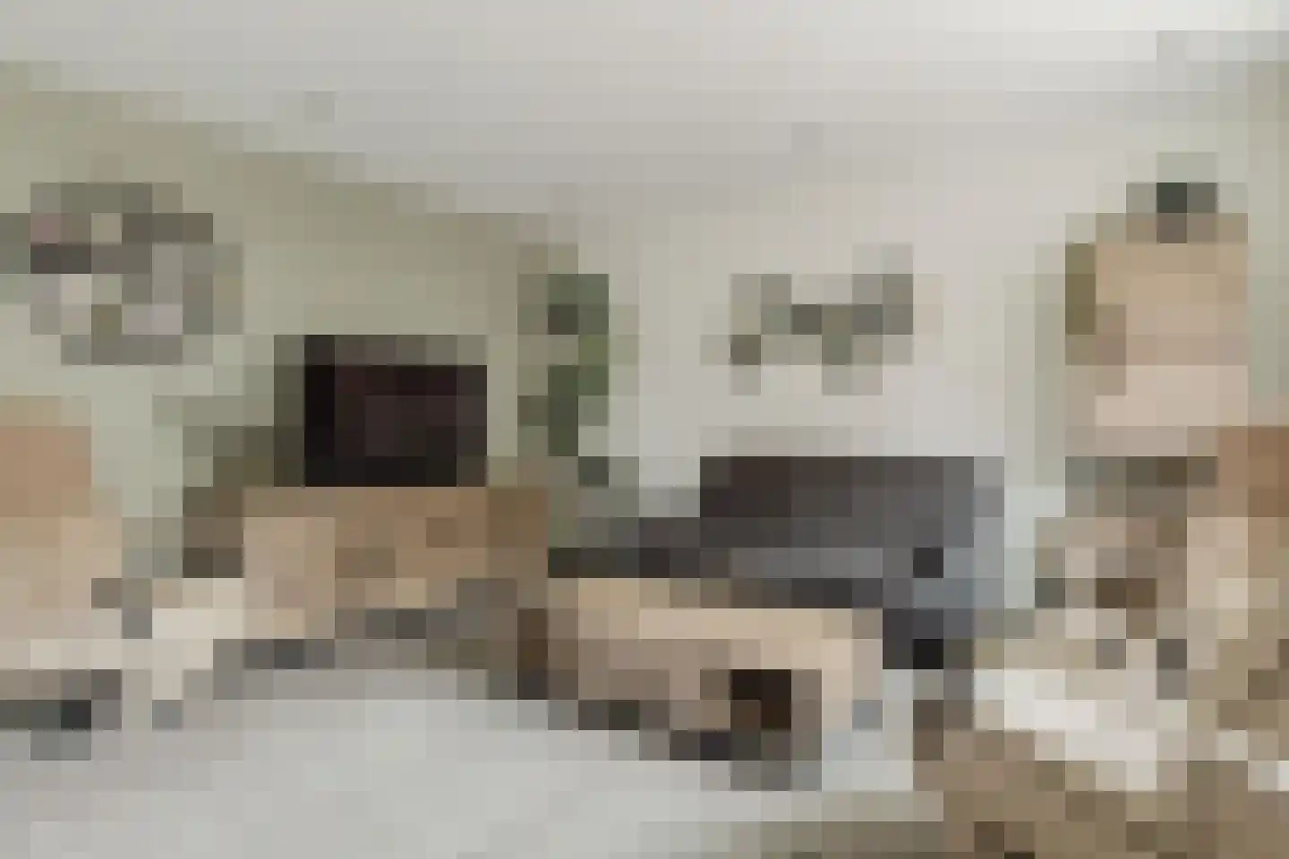 Heerdgang 24 Zundert thumbnail 8