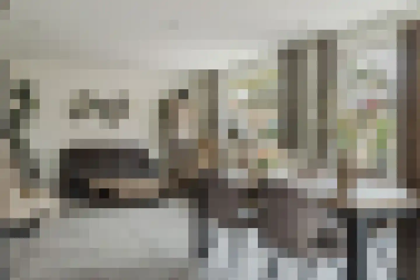 Heerdgang 24 Zundert thumbnail 9