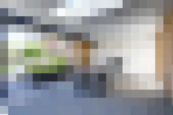Heerdstraat 19 Sint Joost thumbnail 39