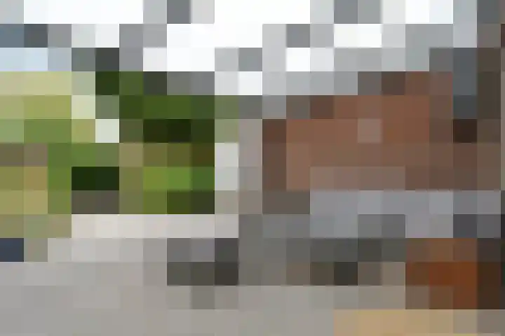 Heerdstraat 45 Sint Joost thumbnail 19
