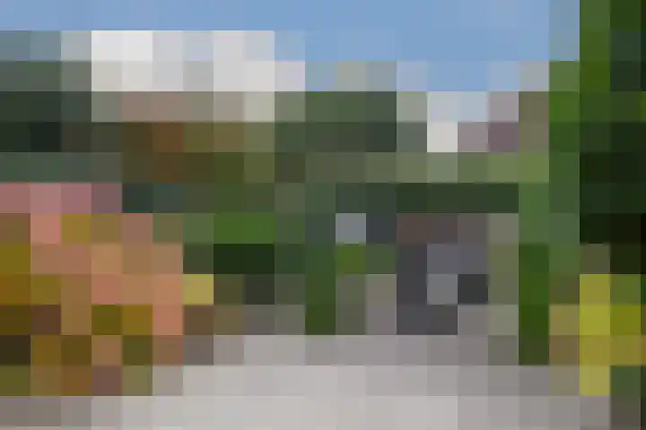 Heerdstraat 45 Sint Joost thumbnail 25
