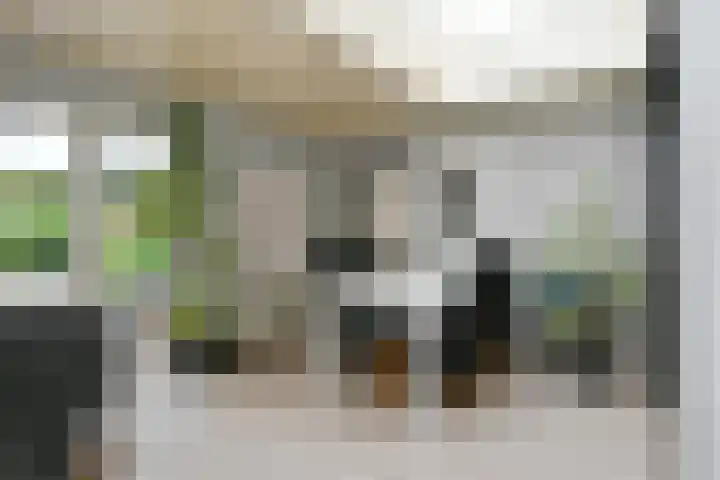 Heerdstraat 45 Sint Joost thumbnail 8