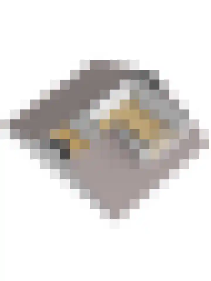 Heeremanstraat 7 's-Gravendeel thumbnail 31