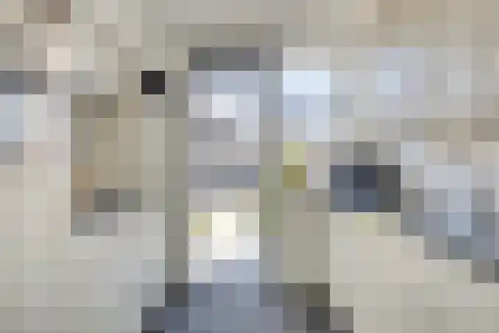 Heeremanstraat 9 's-Gravendeel thumbnail 4
