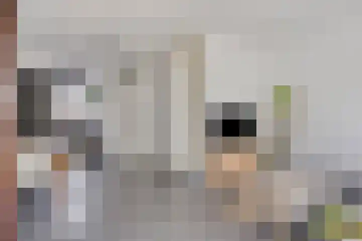 Heeren van Zeventienplein 8 Sint-Michielsgestel thumbnail 11
