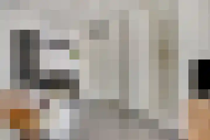 Heeren van Zeventienplein 8 Sint-Michielsgestel thumbnail 13