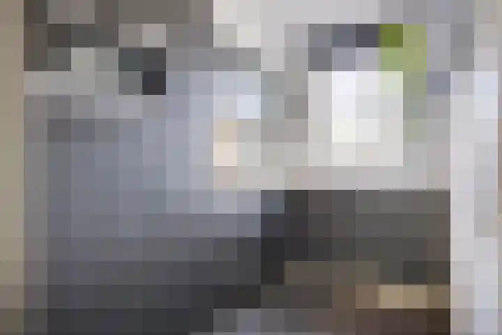 Heeren van Zeventienplein 8 Sint-Michielsgestel thumbnail 14