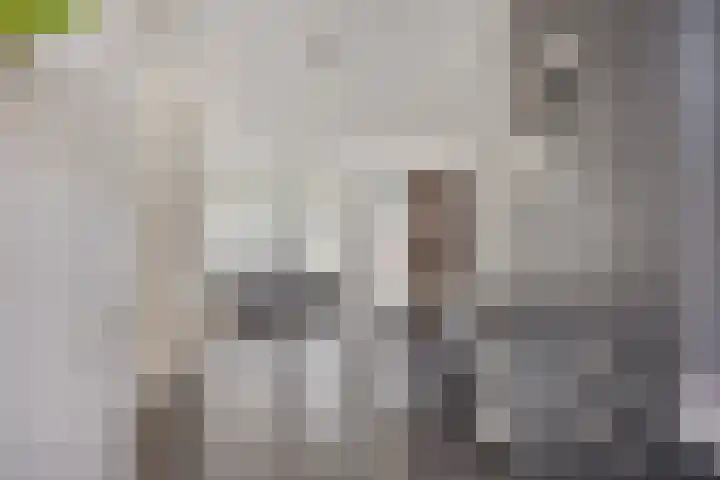 Heeren van Zeventienplein 8 Sint-Michielsgestel thumbnail 17