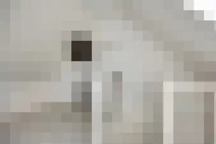 Heeren van Zeventienplein 8 Sint-Michielsgestel thumbnail 28