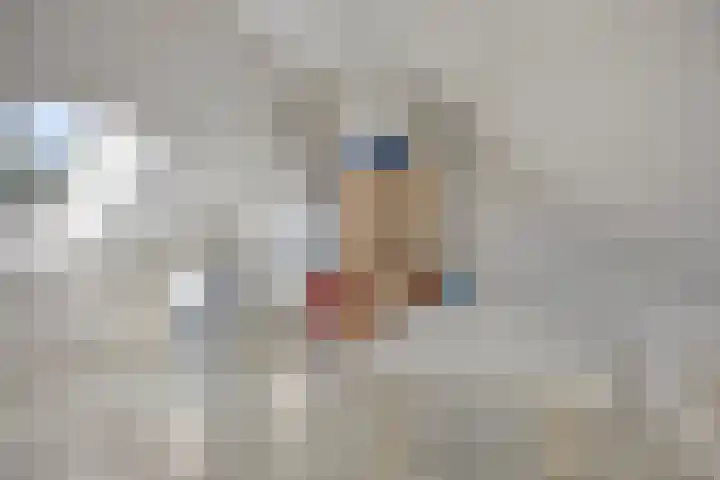 Heeren van Zeventienplein 8 Sint-Michielsgestel thumbnail 30