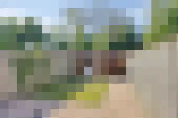 Heeren van Zeventienplein 8 Sint-Michielsgestel thumbnail 31