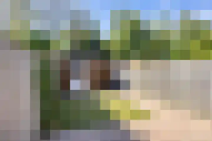 Heeren van Zeventienplein 8 Sint-Michielsgestel thumbnail 32