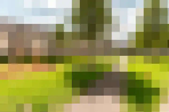 Heerenbeekplantsoen 6 Almere thumbnail 37