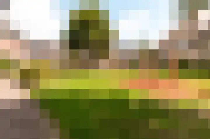 Heerenbeekplantsoen 6 Almere thumbnail 38