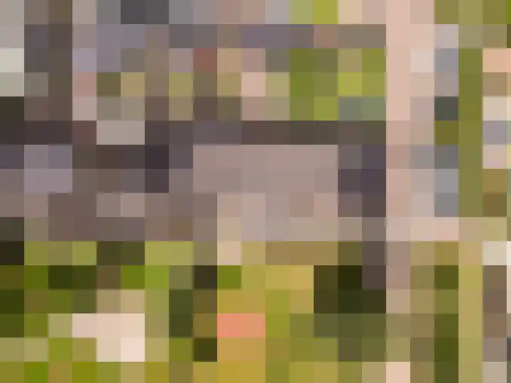 Heerenbeekplantsoen 6 Almere thumbnail 39