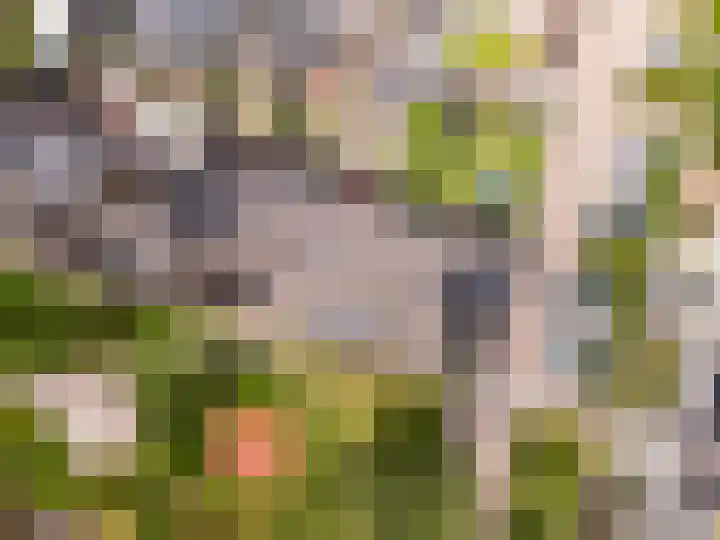 Heerenbeekplantsoen 6 Almere thumbnail 40