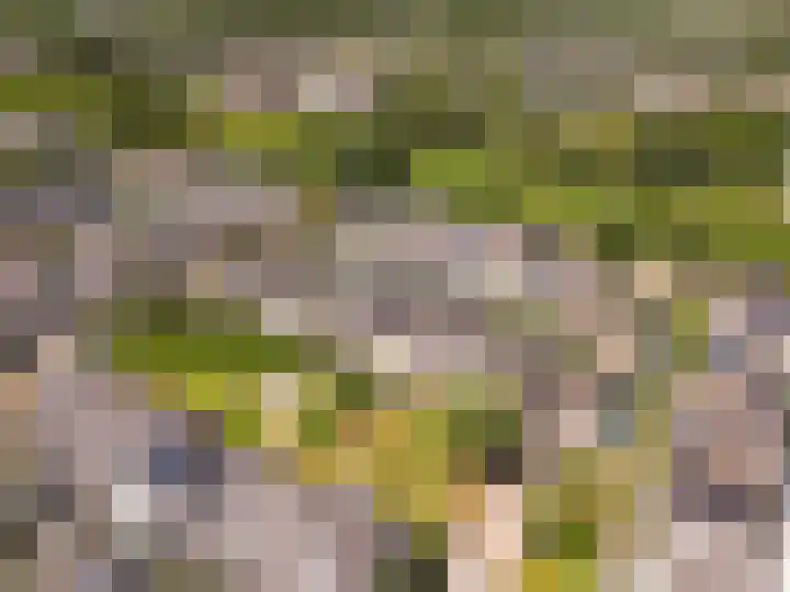 Heerenbeekplantsoen 6 Almere thumbnail 41