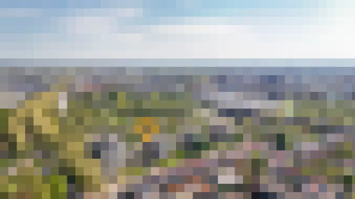 Heerendonklaan 117 's-Hertogenbosch thumbnail 32