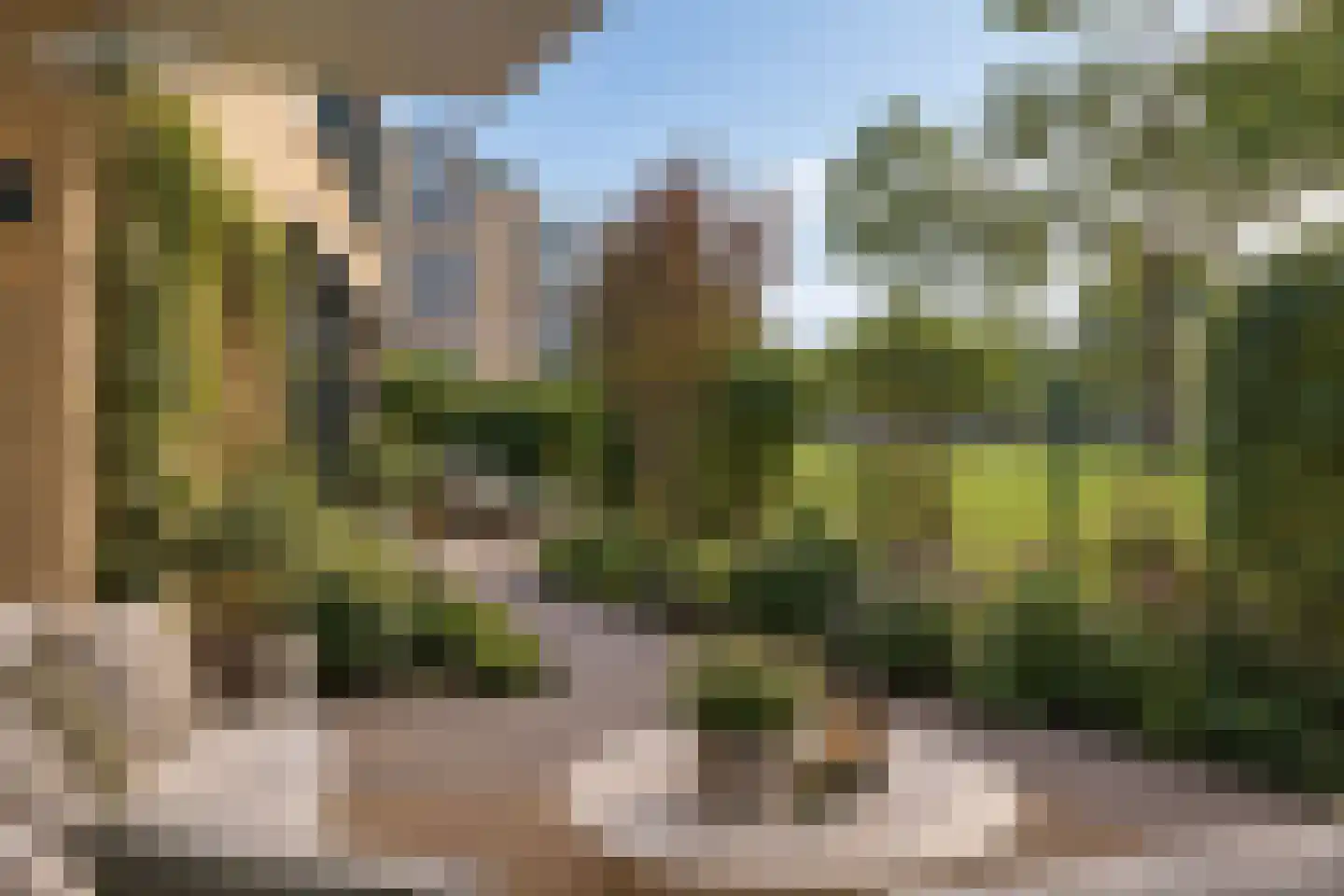 Heerendonklaan 45 's-Hertogenbosch thumbnail 29