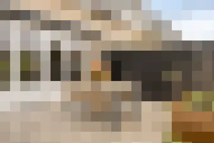 Heerendonklaan 56 's-Hertogenbosch thumbnail 14