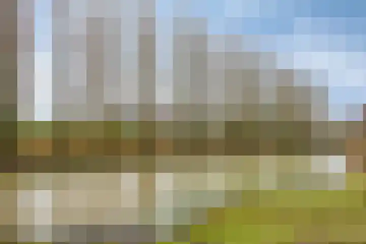 Heerendonklaan 56 's-Hertogenbosch thumbnail 31