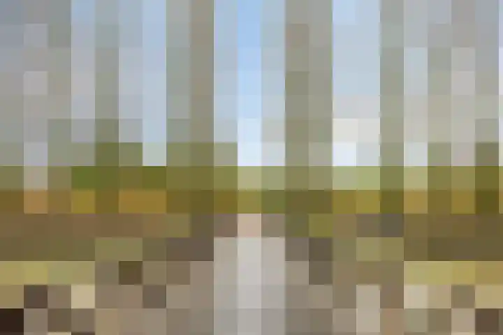 Heerendonklaan 56 's-Hertogenbosch thumbnail 32