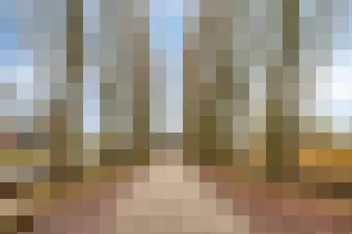 Heerendonklaan 56 's-Hertogenbosch thumbnail 34