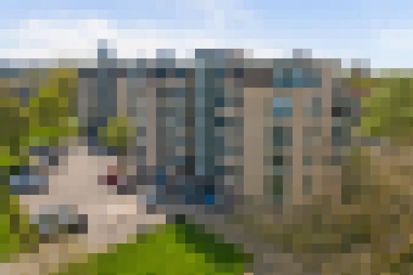 Heerendonklaan 75 's-Hertogenbosch thumbnail 49