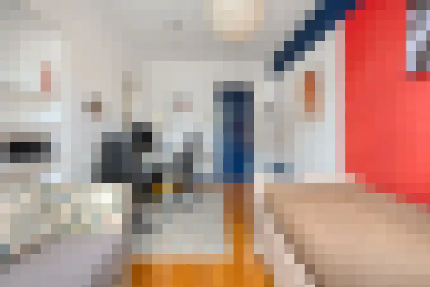 Heerengracht 2 Meppel thumbnail 32