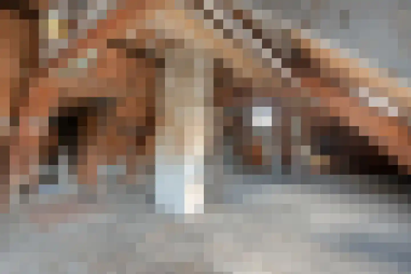 Heerengracht 2 Meppel thumbnail 42