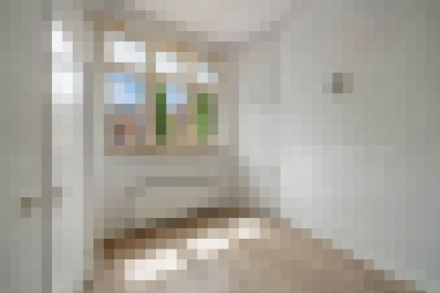 Heerengracht 54 A Franeker thumbnail 12
