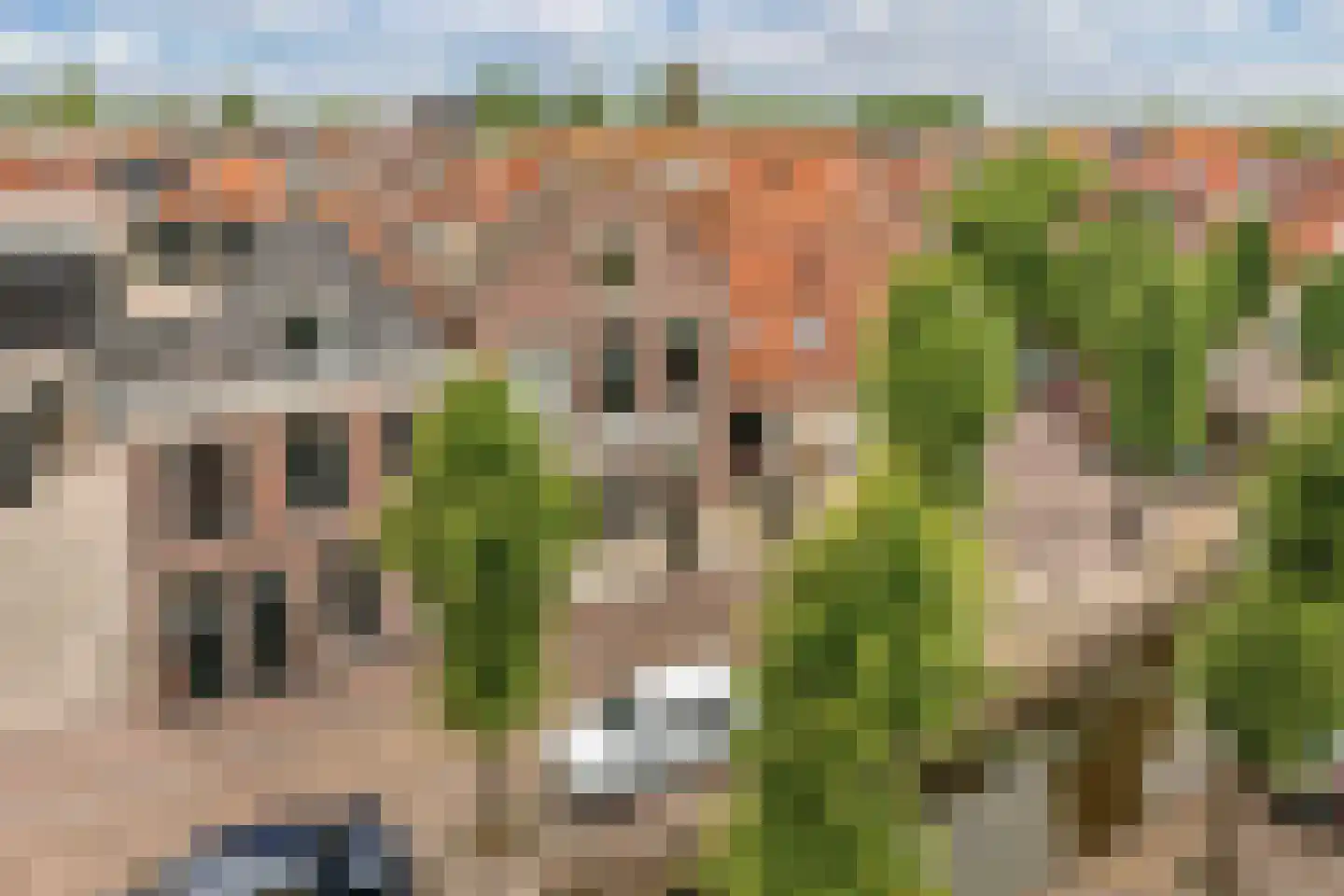 Heerengracht 54 A Franeker thumbnail 8