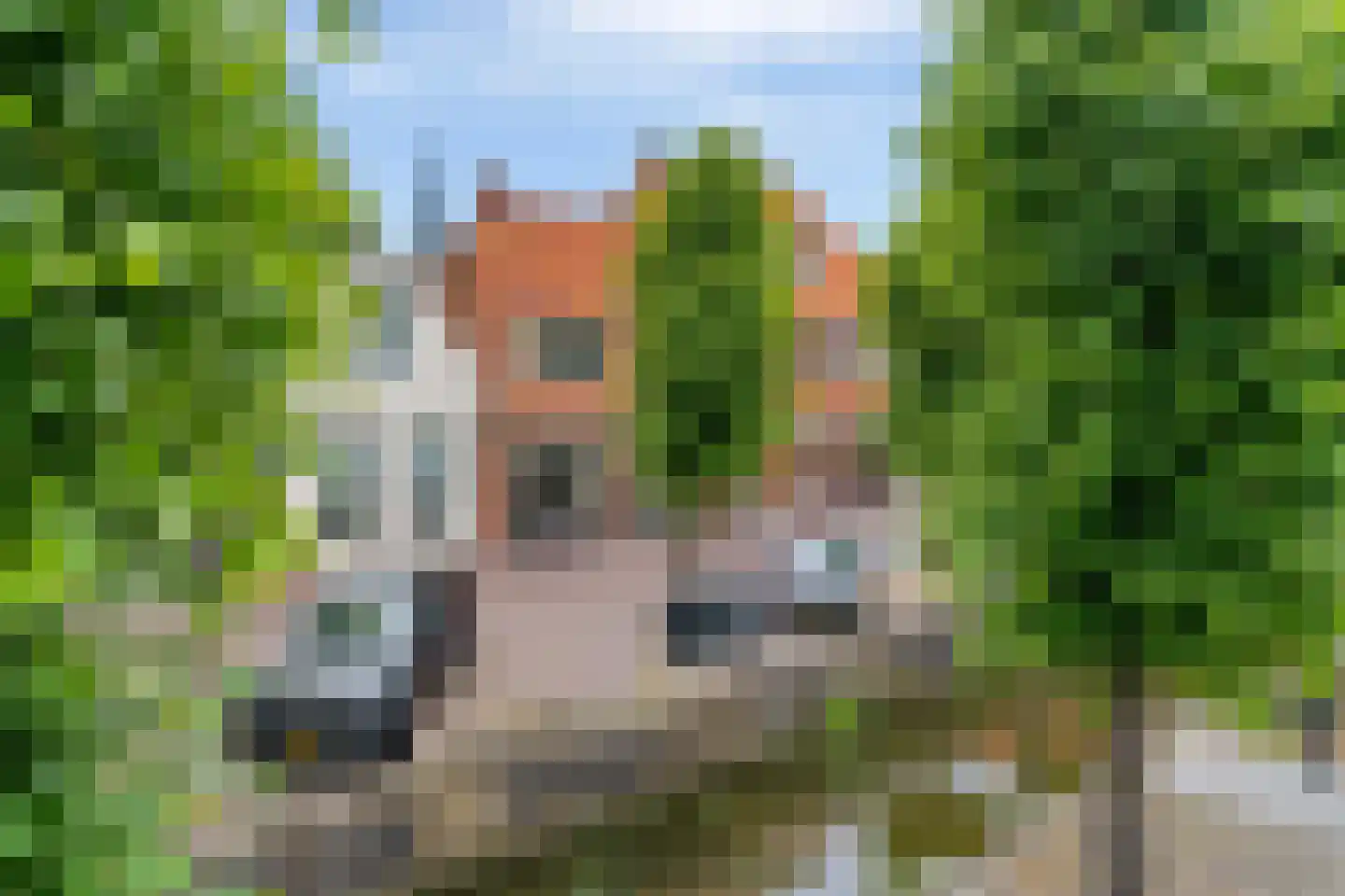 Heerengracht 66 Franeker thumbnail 11