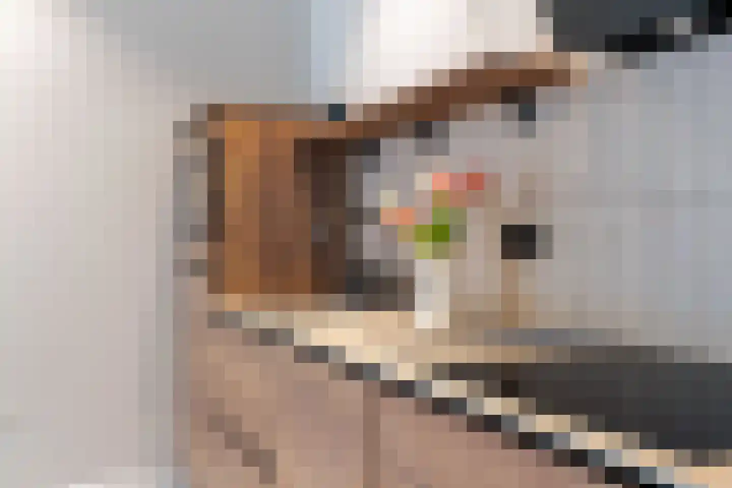 Heerengracht 66 Franeker thumbnail 17