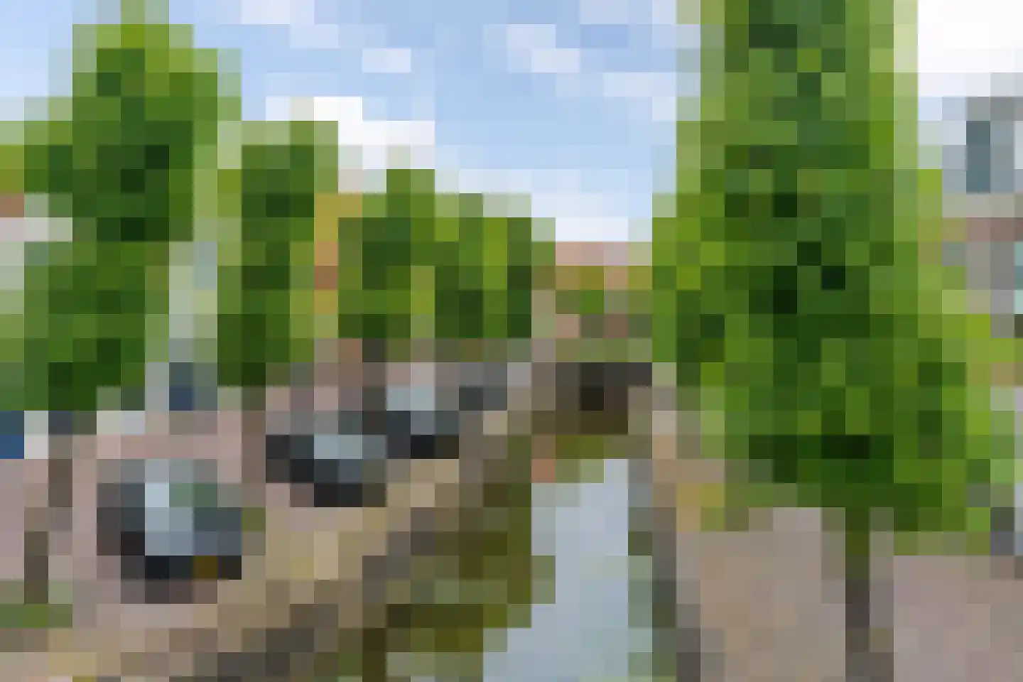Heerengracht 66 Franeker thumbnail 41