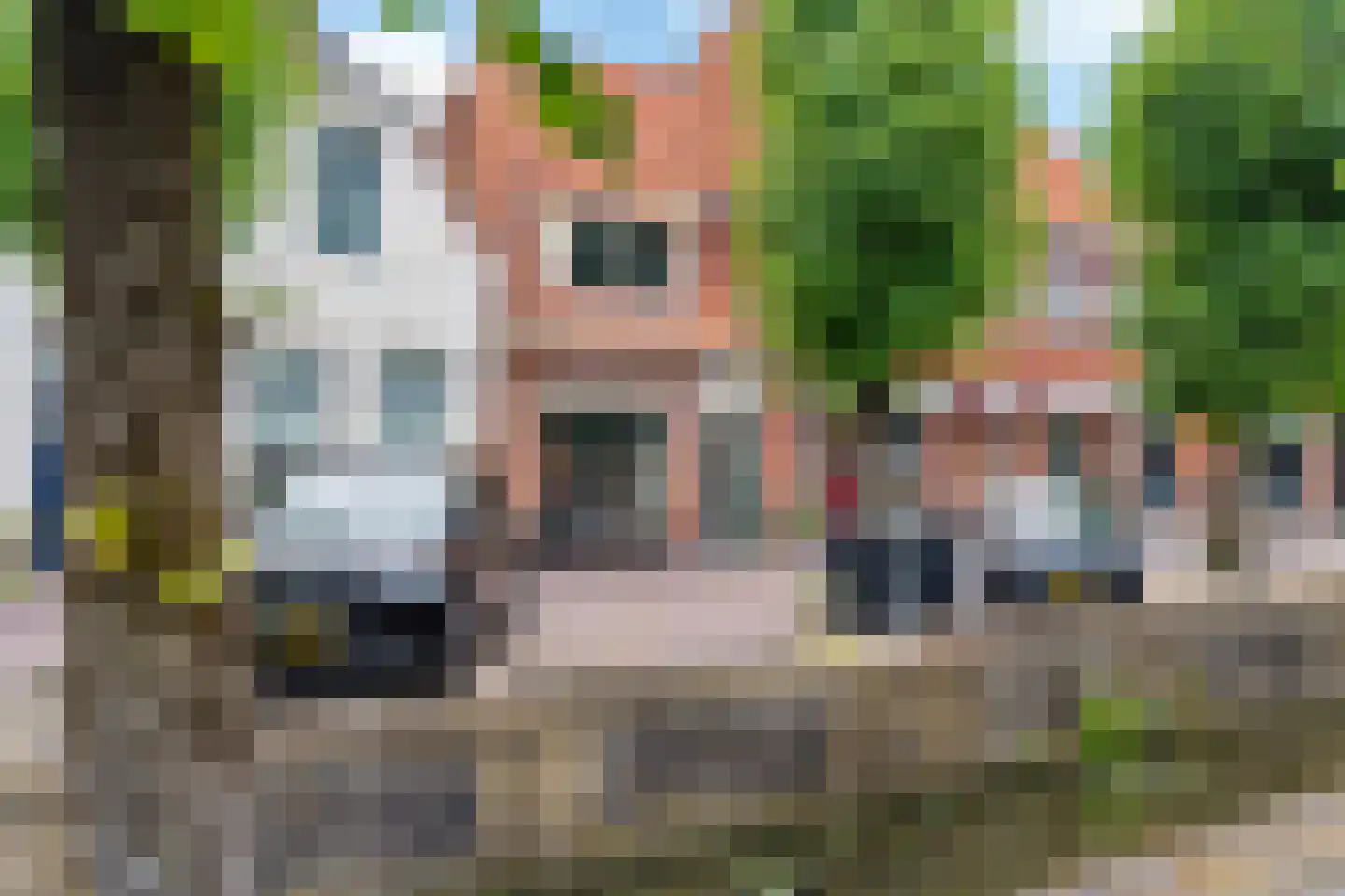 Heerengracht 66 Franeker thumbnail 6