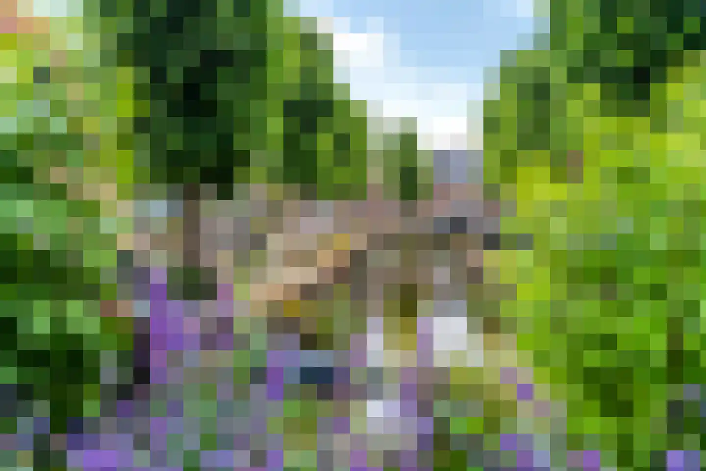 Heerengracht 66 Franeker thumbnail 8