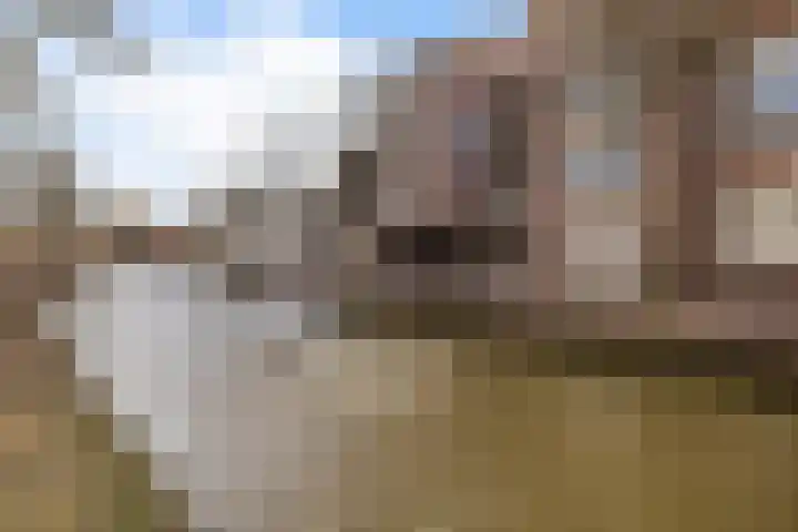 Heerengracht 7 B in Meppel