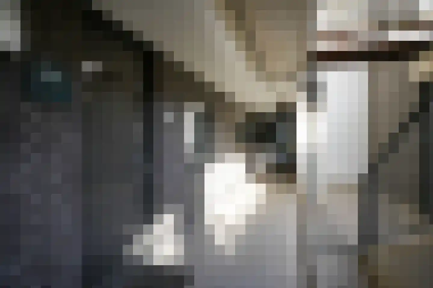 Heerenhofweg 22 A Mechelen thumbnail 26