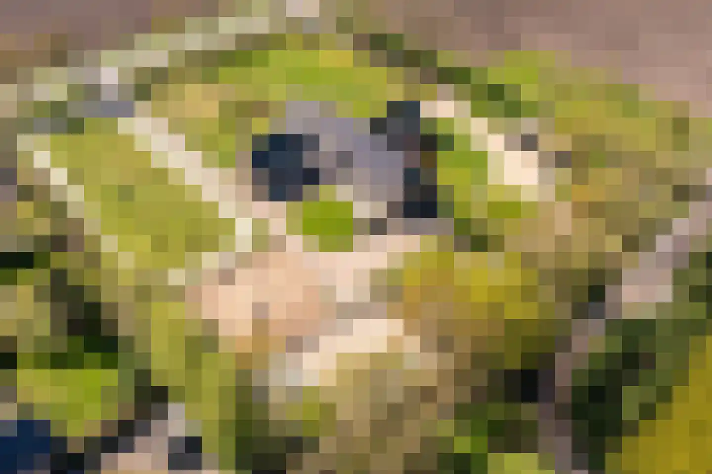Heerenhoogweg 40 Wijckel