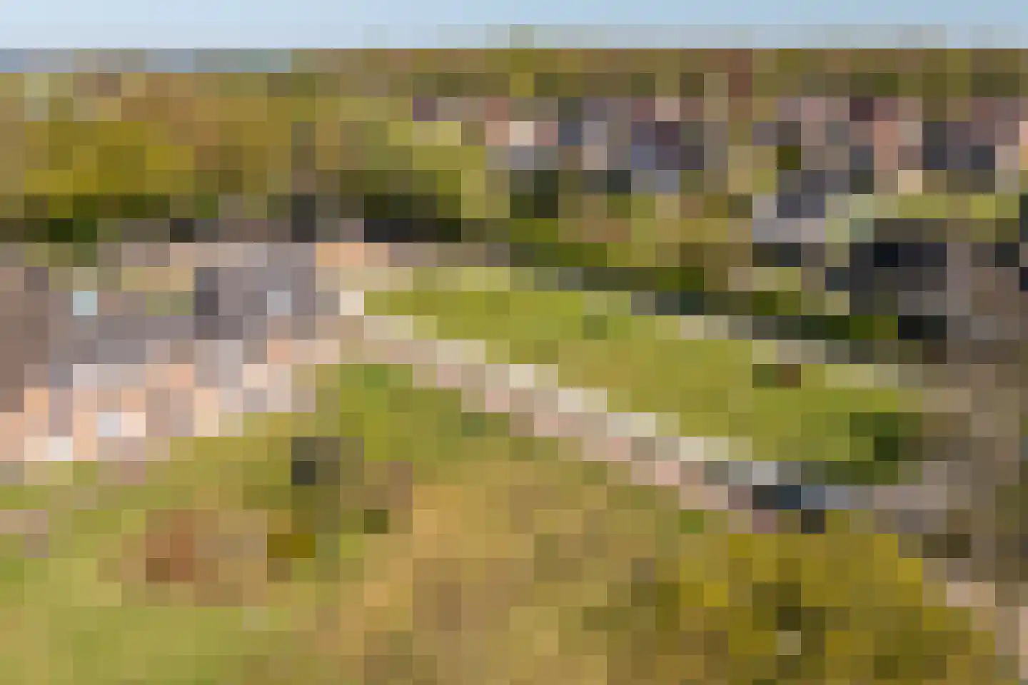 Heerenhoogweg 40 Wijckel thumbnail 12