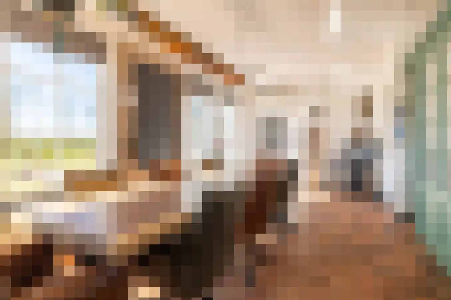 Heerenhoogweg 40 Wijckel thumbnail 16