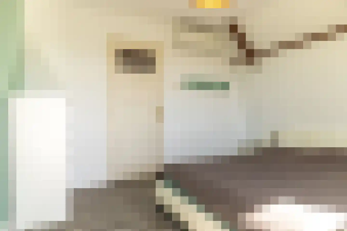 Heerenhoogweg 40 Wijckel thumbnail 36