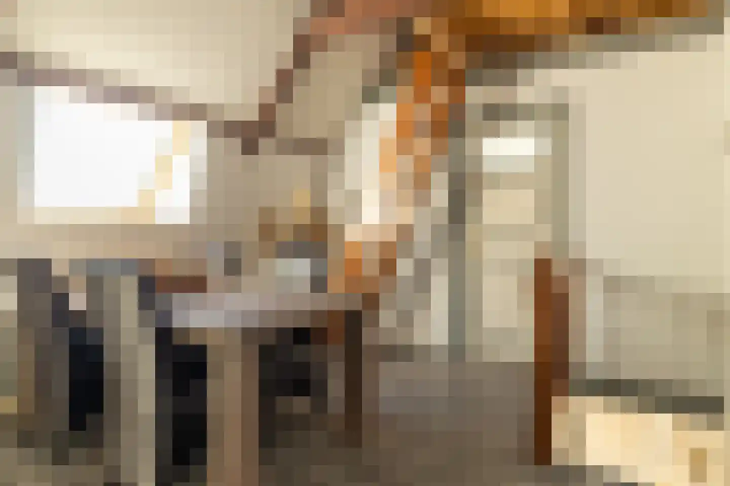 Heerenhoogweg 40 Wijckel thumbnail 37