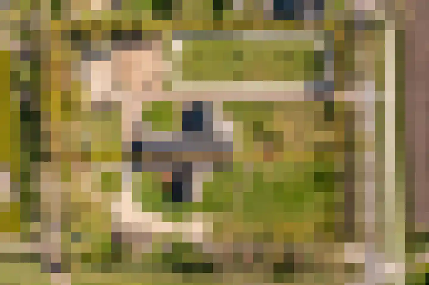 Heerenhoogweg 40 Wijckel thumbnail 4